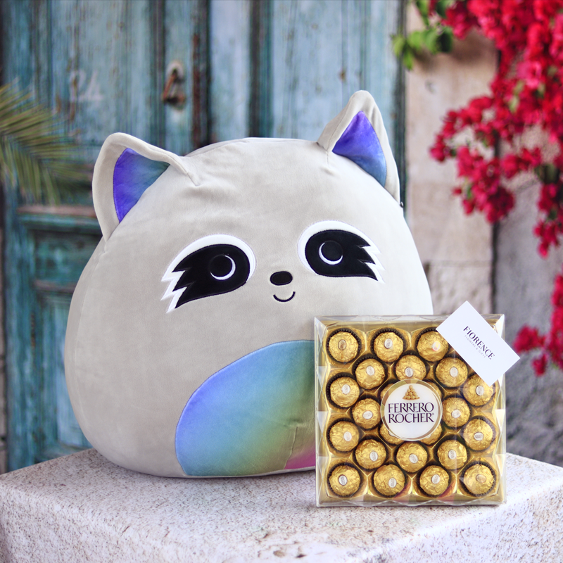 Raccoon Squishmallows