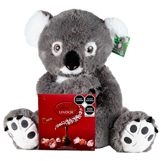 Peluche de Koala con Chocolates